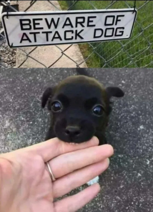 1748457060759.png