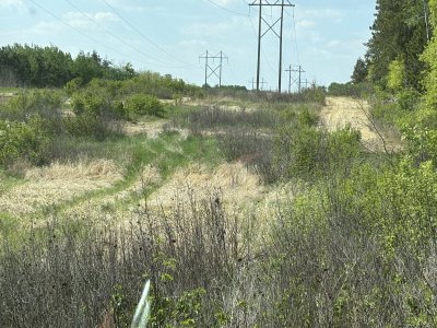 IMG_2523.JPG