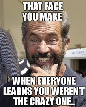1748547376113.png