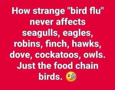 1748548683281.png