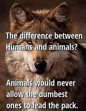 1748635677426.png