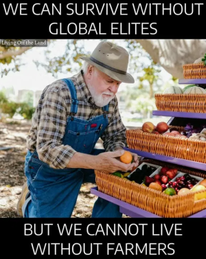 1748895290243.png