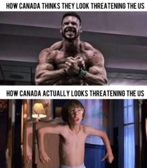 1748895750352.png