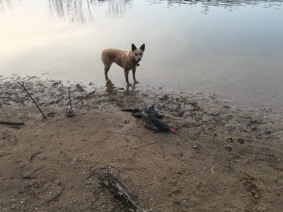 IMG_2992.jpeg