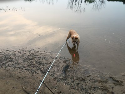 IMG_2991.jpeg