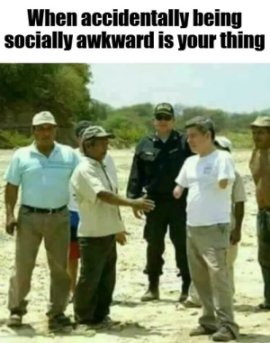 1748973953223.png