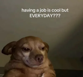 1748976755434.png