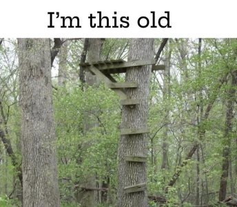 I'm this old..jpeg