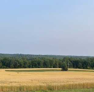 IMG_7312.jpeg