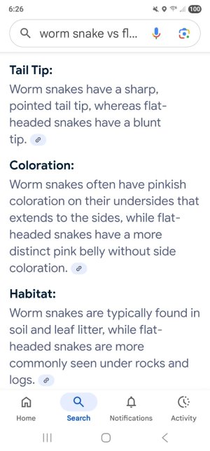 Screenshot_20250604_182631_Google.jpg