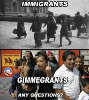 IMG_5510.jpeg