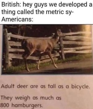 FB_IMG_1749128781190.jpg