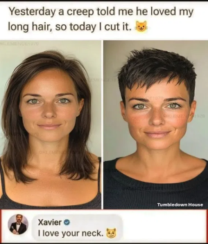 1749150481244.png