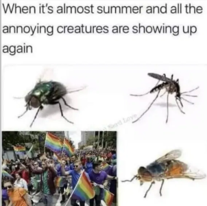 1749154746773.png