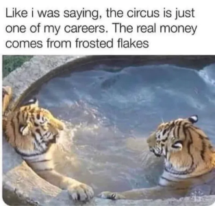 1749155463967.png