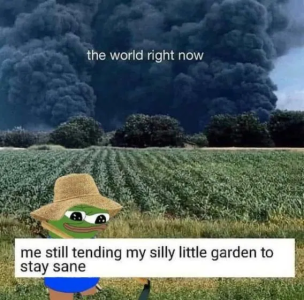 1749225322180.png