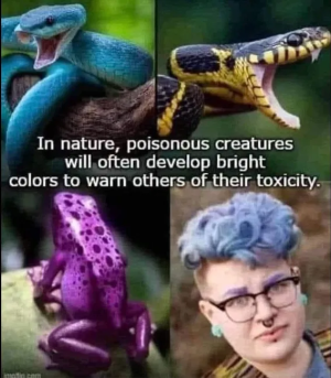1749230053890.png