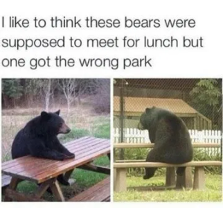 1749230850584.png