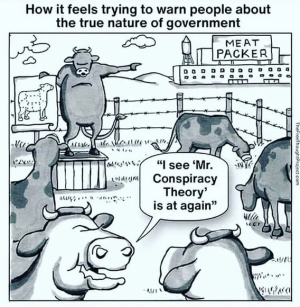 1749230889553.png