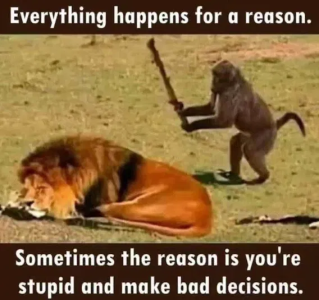 1749231012081.png
