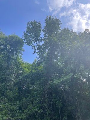 IMG_1721.jpeg