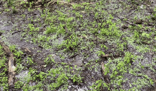 ezgif-5e58fcc3c43d2e.gif
