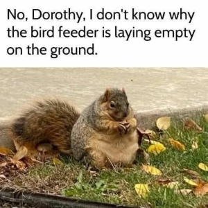 1749485885473.png