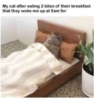 1749499505882.png