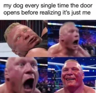 1749500736653.png
