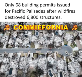 1749567457499.png
