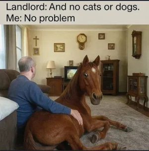 1749572674970.png