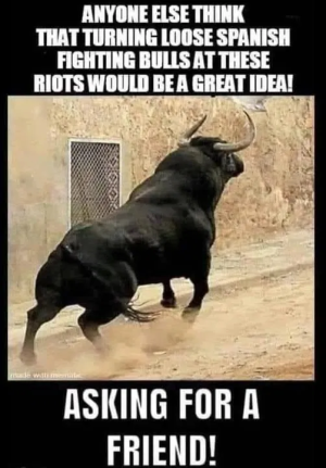 1749662159457.png