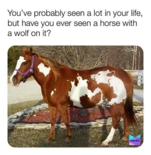 1749669899071.png