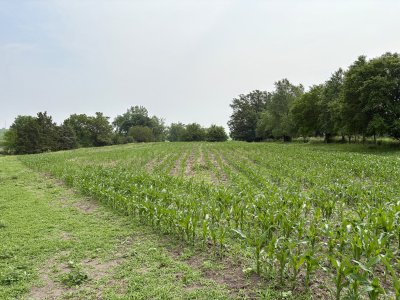 IMG_0131.JPG