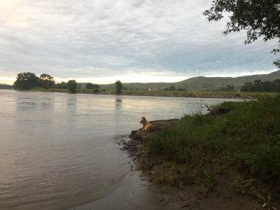 IMG_3013.jpeg