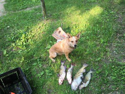 IMG_3011.jpeg