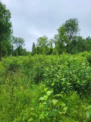 20250614_103045.jpg