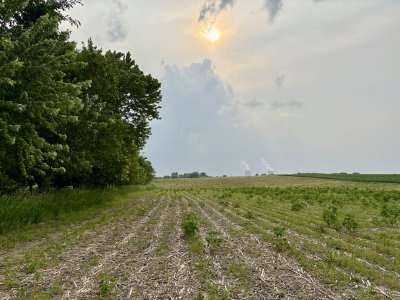 IMG_0078 2.JPG