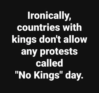 1750098608677.png