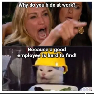 1750098986419.png