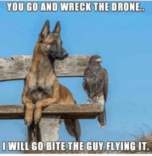 1750099214024.png