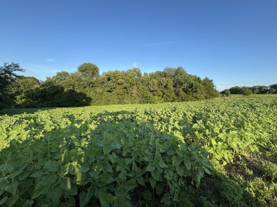 IMG_4524.jpeg