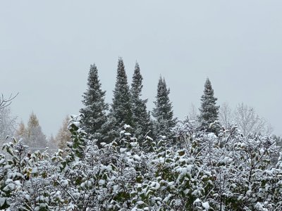 IMG_1423.jpeg