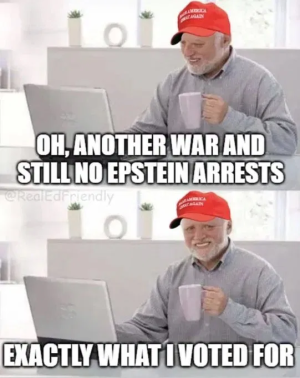 1750270259913.png
