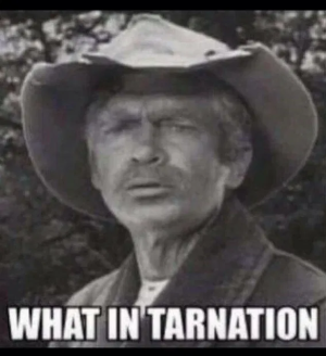 1750348896206.png