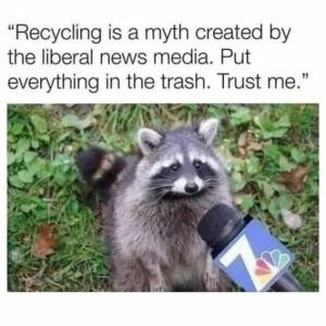 1750350365298.png