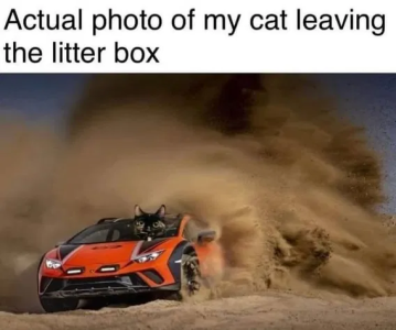 1750351043541.png