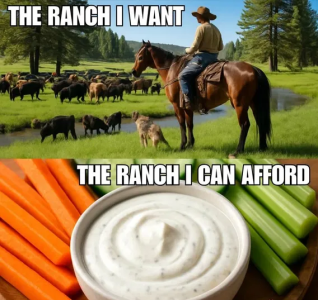 1750443088514.png