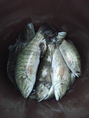 IMG_20250621_184236.jpg
