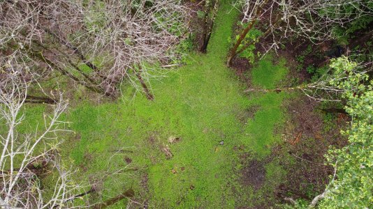 DJI_0100.JPG